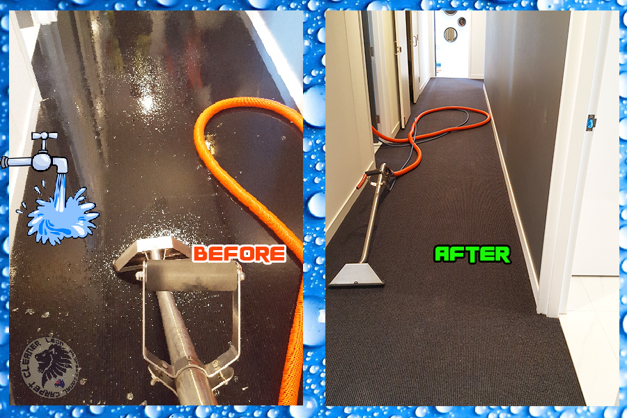 Water Damage Leon Pro Carpet cleaner GOLD COAST On Site in 60 Minutes