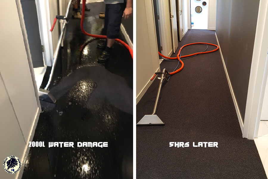 Water Damage Leon Pro Carpet cleaner GOLD COAST On Site in 60 Minutes