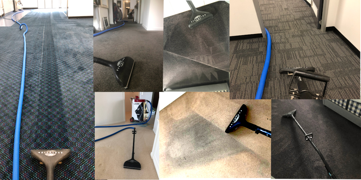Commercial Cleaning Leon Pro Carpet cleaner GOLD COAST